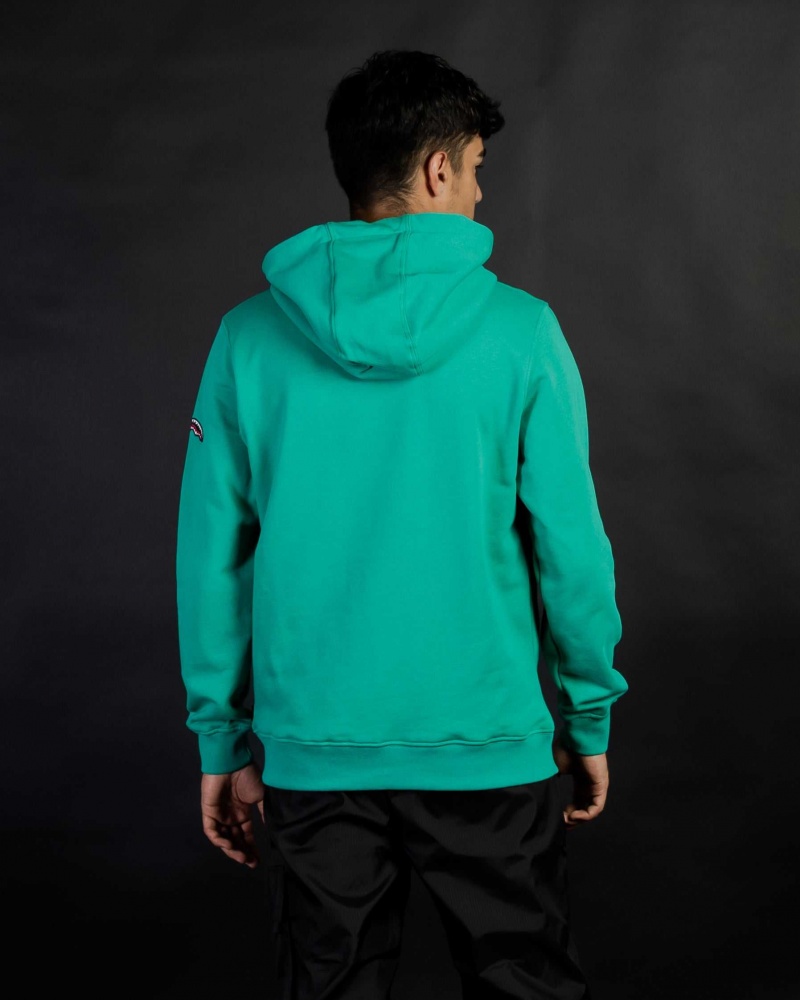 Sprayground Hoodie STD HOODIE Blue Green | IQVFH7654