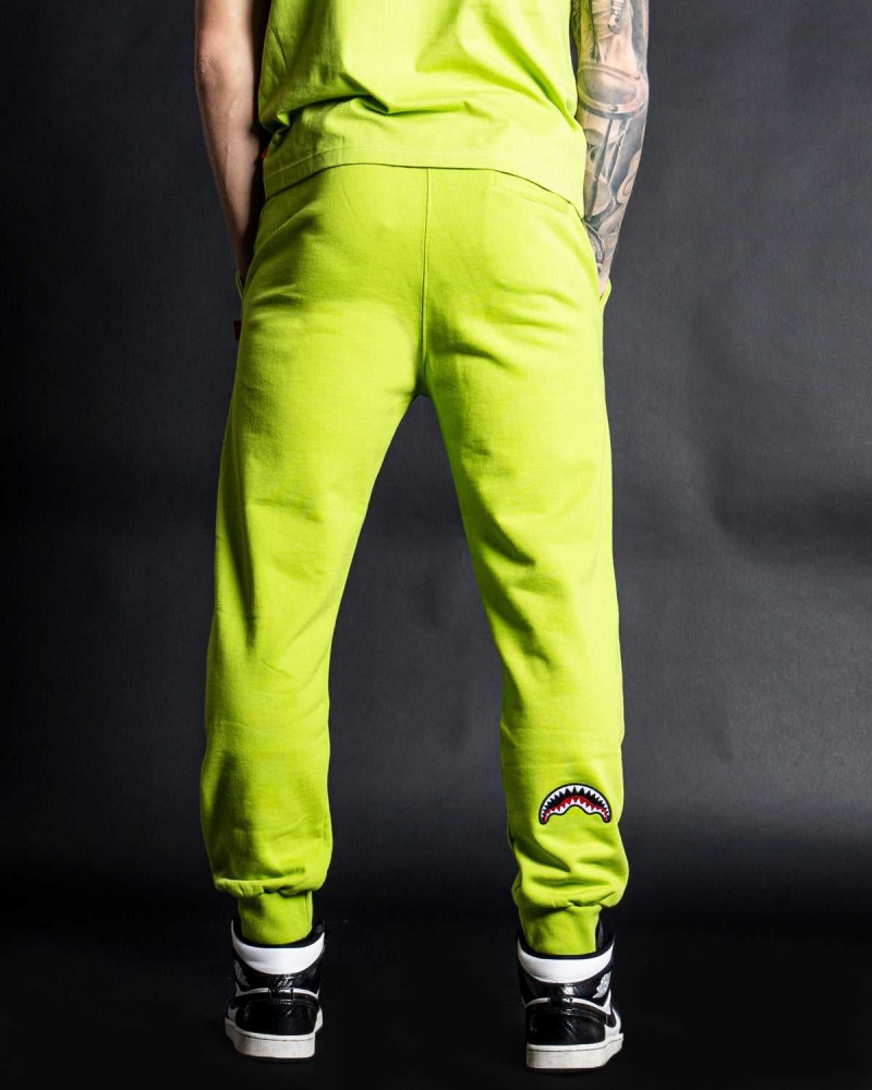 Sprayground Joggers SPRAY PANTS Green | AFIHB1724